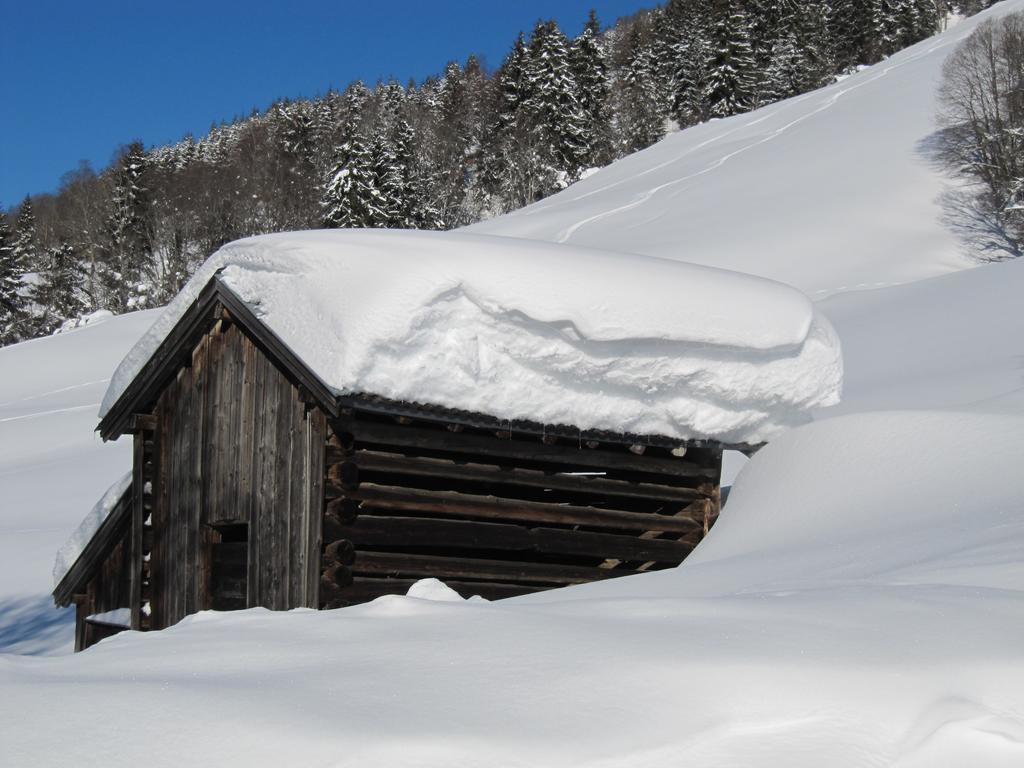 Haus Tannenblick Saalbach-Hinterglemm